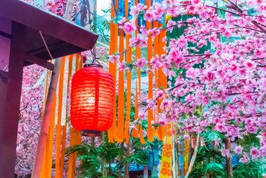 Tanabata Festivali.