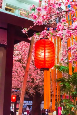 Tanabata Festivali.
