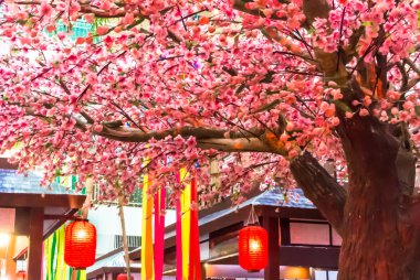 Tanabata Festivali.