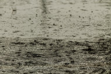 Yağmur yağmaya yolda.