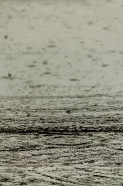 Yağmur yağmaya yolda.