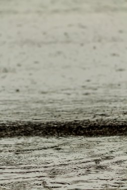 Yağmur yağmaya yolda.