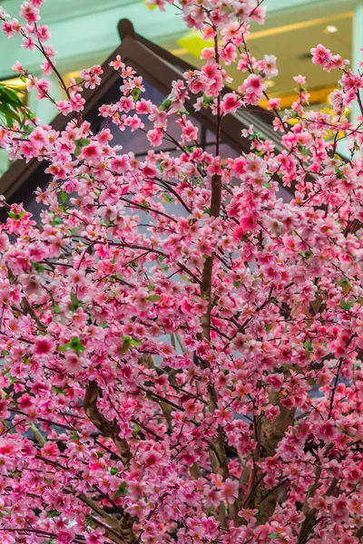 Tanabata Festival. — Stock Photo, Image