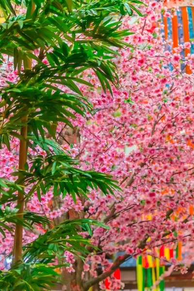 Tanabata-Festival. — Stockfoto