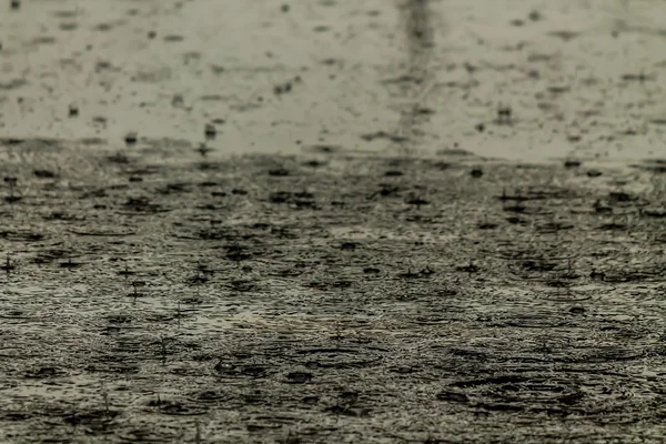 Caduta di pioggia sulla strada . — Foto Stock