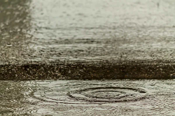 Caduta di pioggia sulla strada . — Foto Stock