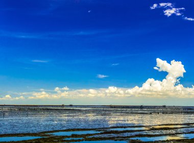 Düşük tide deniz Panoraması.