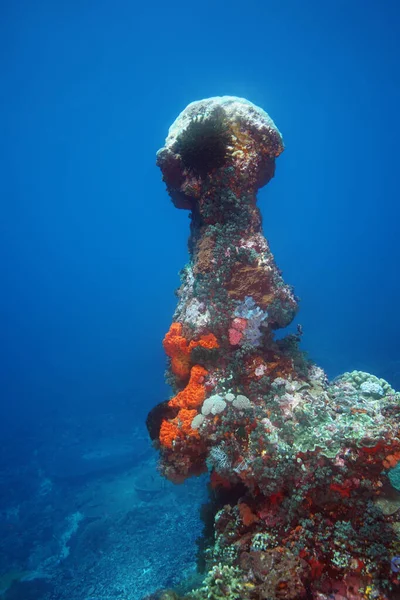 Tour Corail Dans Océan Indien Une Formation Corallienne Ressemblant Silhouette — Photo