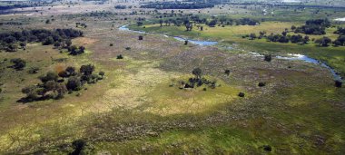 Okavango Deltası 'nın kuş bakışı görüntüsü. Okavango Nehri 'nin iç kesimlerine kuş bakışı..