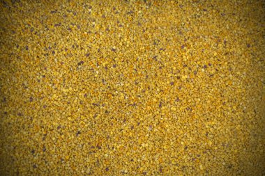 Arıcılık aracı. Yatay çekim.