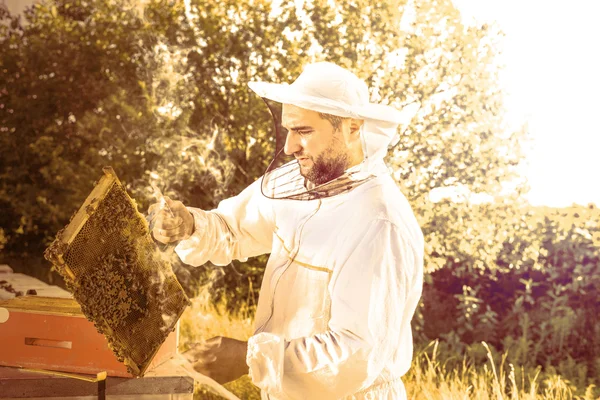 Beekeeping tool.Horizontal shoot. — Stock Photo, Image