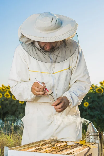 Instrumente apicole. Tragere orizontală . — Fotografie, imagine de stoc