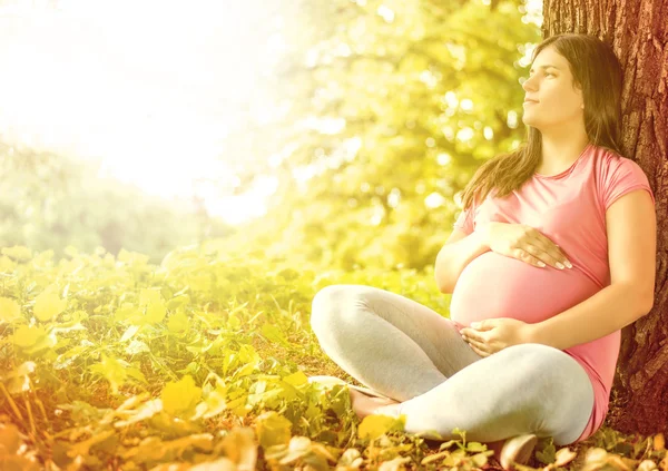 Mujer embarazada disfrutando de la naturaleza —  Fotos de Stock