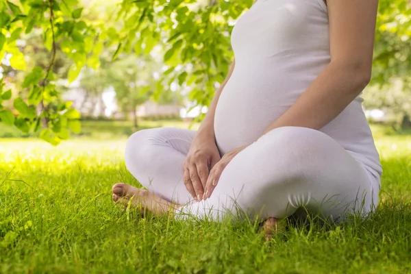 Mulher grávida desfrutando da natureza — Fotografia de Stock