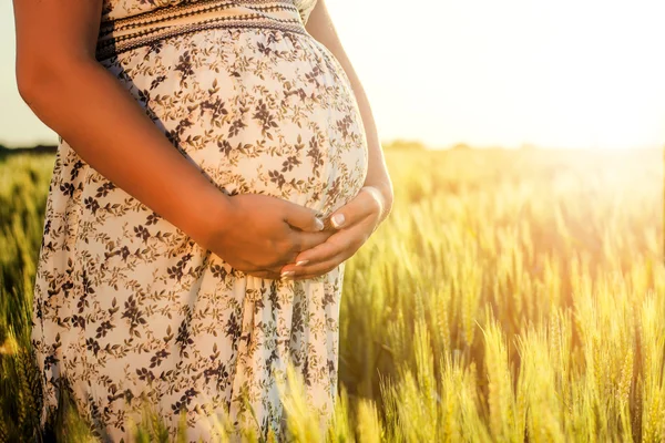 Una cosecha del estómago de una mujer embarazada con campo en el fondo . —  Fotos de Stock