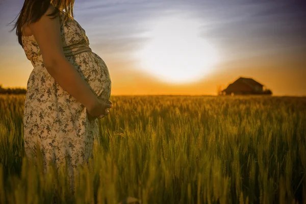 Mujer embarazada sosteniendo tableta digital —  Fotos de Stock