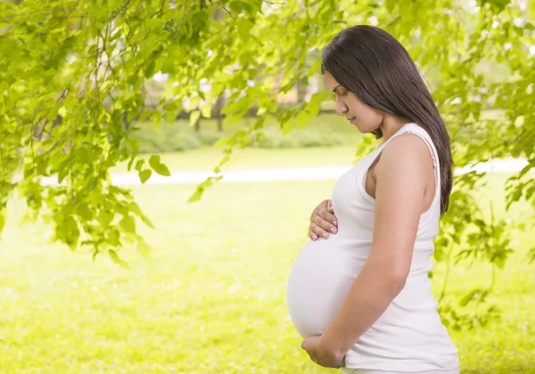 Gravid kvinna njuter av naturen Stockbild