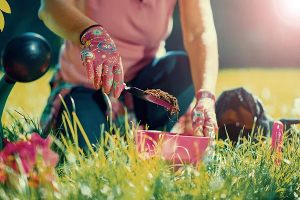 Jardinero cuidando de sus plantas — Foto de Stock