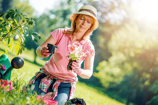 Retrato de mulher madura jardinagem em casa . — Fotografia de Stock