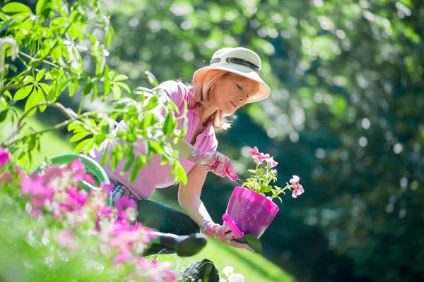 Jardinier prenant soin de ses plantes dans un jardin — Photo