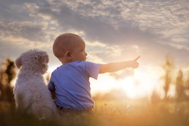 Küçük bir çocuk ve onun köpek yavrusu