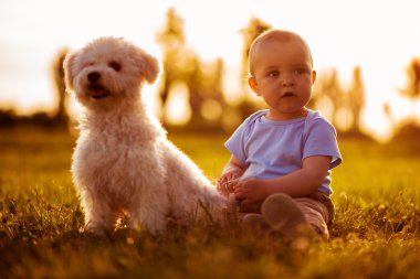 Onun köpekle oynamayı mutlu bebek çocuk 