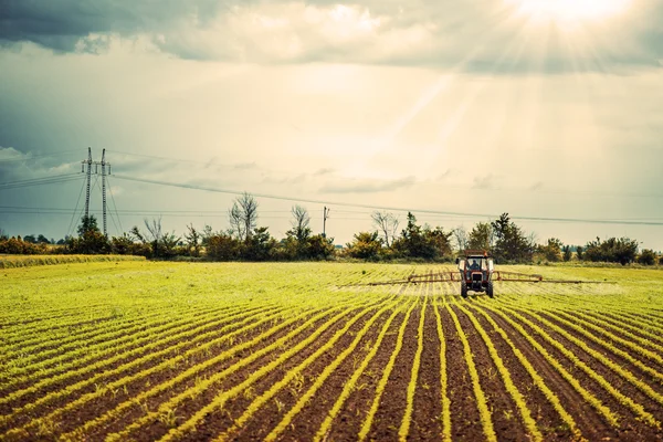 Трактор работает на поле при солнечном свете — стоковое фото