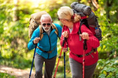 Yaşlı çift ormanda yürüyor..