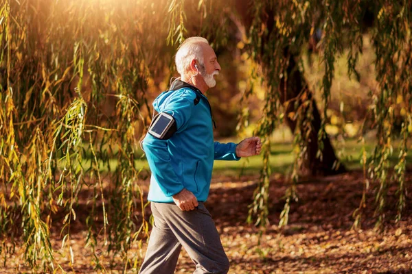 Senior Man Loopt Het Najaar Park Luistert Naar Muziek — Stockfoto