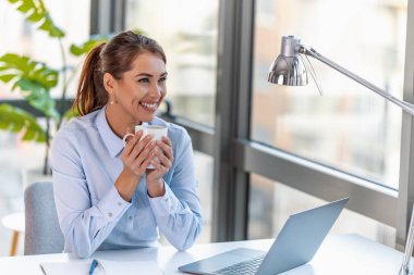 Ofisinde çalışan genç bir iş kadını. Ofiste genç ve güzel bir iş kadınının portresi..