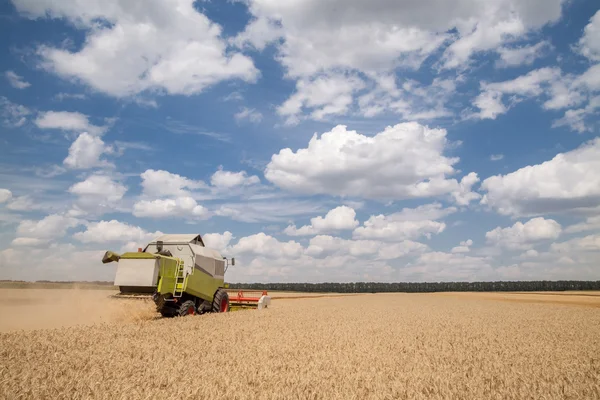 Combinar colheitadeira em um campo de trigo com um céu nublado — Fotografia de Stock