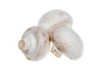 Beyaz arka planda izole edilmiş taze mantar