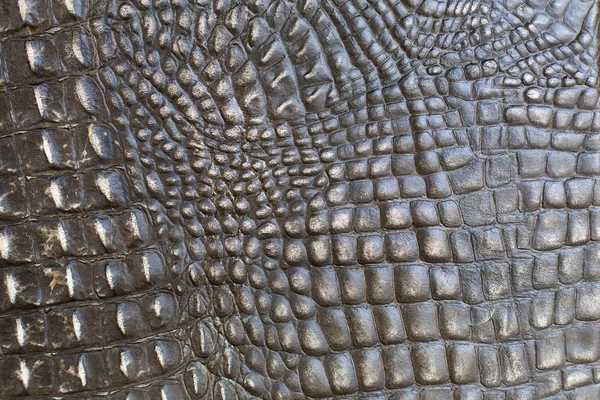 Closeup of crocodile leather. background — Stock Photo, Image