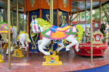 atları ile atlıkarınca binmek