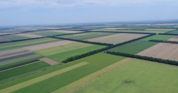 Letecký Snímek Polí Různými Typy Zemědělství — Stock video