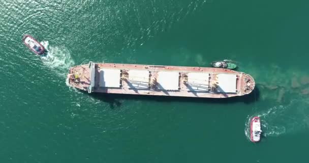 从空中俯瞰帮助大型货船的拖船 大型货船在拖船的护送下进入港口 — 图库视频影像