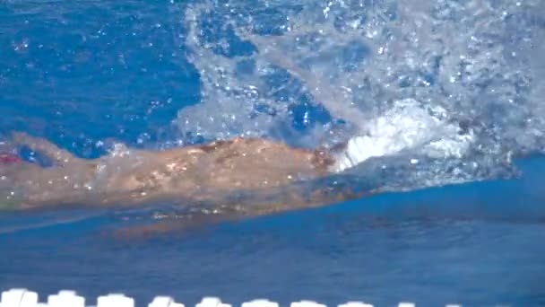 Nuotatore Professionista Nuota Strisciando Piscina Rallentatore — Video Stock
