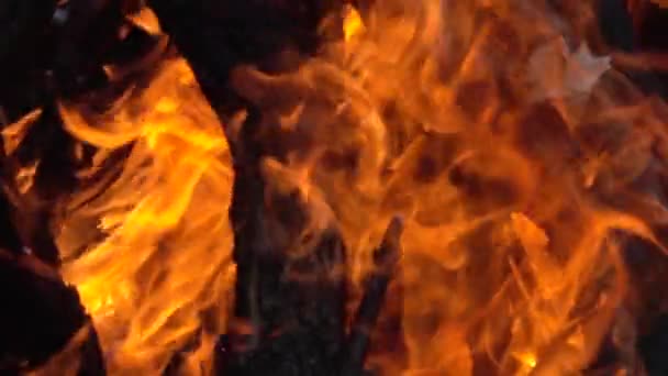 Близько Спалювання Багаття Повільному Русі 250Fps Теплий Затишний Палаючий Вогонь — стокове відео