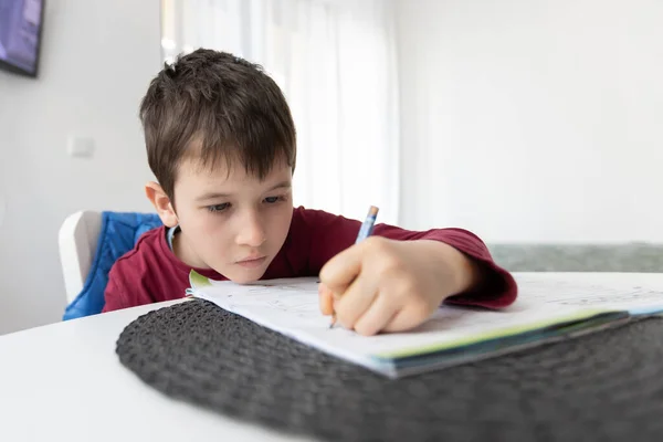 描述了一个小男孩在家里忙着做家庭作业的情景 儿童家庭教育概念 远程学习 — 图库照片