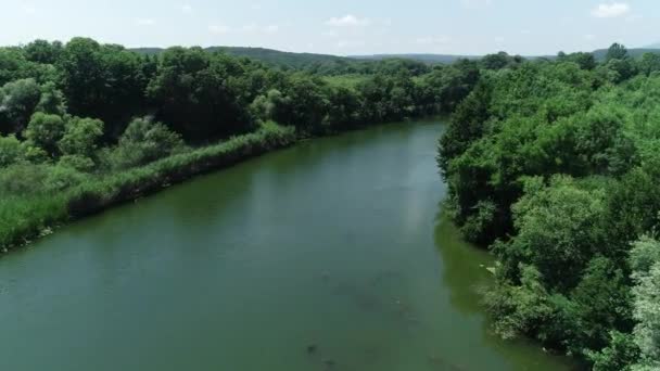 Vue Aérienne Rivière Belle Forêt Sauvage — Video