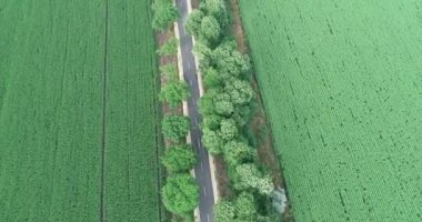 Ülke karayolu ve tarım alanları üzerinde hava manzarası 