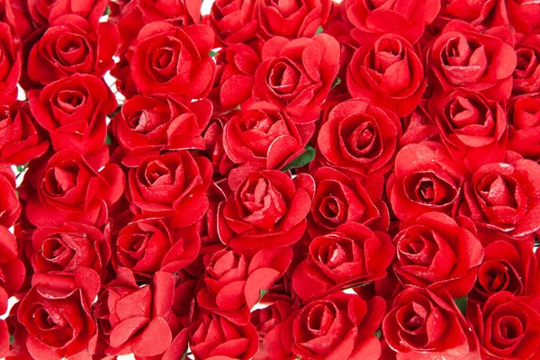 Sfondo Fiori Rosa Rossa Molte Rose Rosse Vicino — Foto Stock