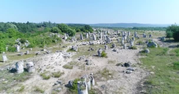 Aerial Video Stone Forest Varna Bulgaria Pobiti Kamani Rock Phenomenon — Stock Video