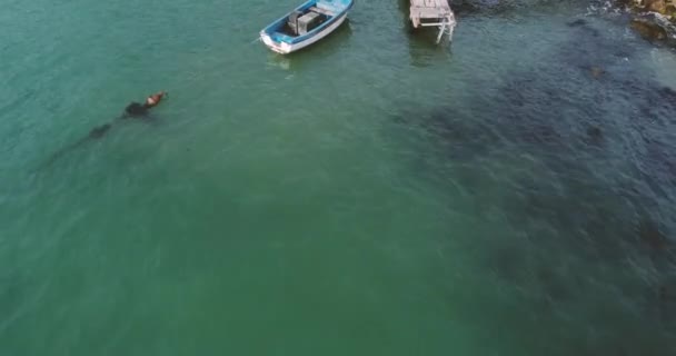 Εναέρια Βίντεο Από Μοναχικό Αλιευτικό Σκάφος Και Ξύλινη Προβλήτα Τυρκουάζ — Αρχείο Βίντεο