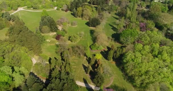 Vzdušný Výhled Městský Park Zahrada Léto Městě Zelené Stromy — Stock video