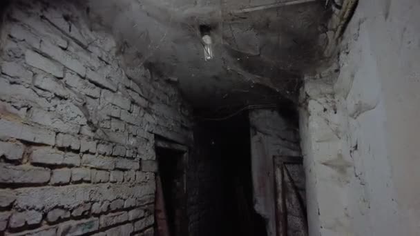 Scary Underground Basement Old Abandoned Warehouses Dungeons — Stock Video