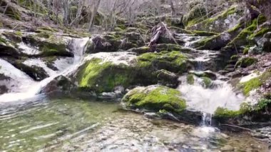 Nehir şelalesi kayaları akar. Dağ nehri. Nehir deresi deresi.