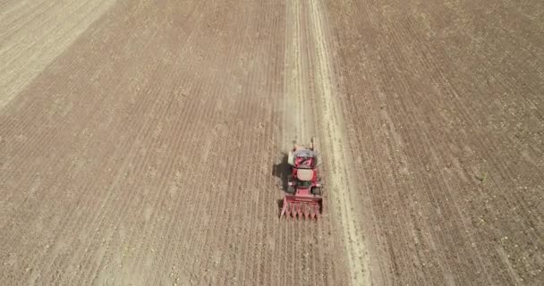 収穫機の空中ビューはひまわりを収穫します ひまわりの収穫を組み合わせる — ストック動画