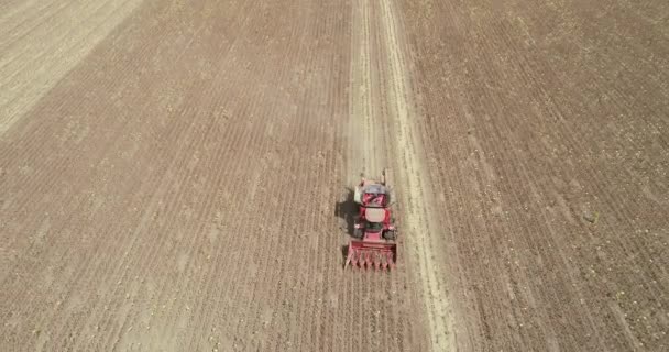 Luchtfoto Van Oogstmachine Oogst Zonnebloem Combineer Het Oogsten Van Zonnebloemen — Stockvideo