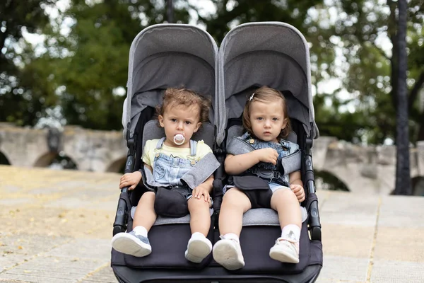 Fraternal twin baby girls sitting in stroller, baby carriage